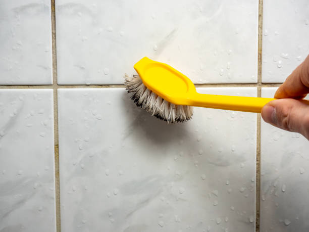 Attic Mold Removal in Winfield, AL