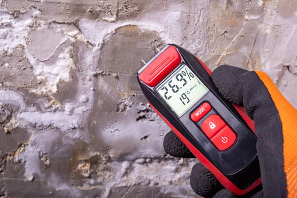 Best Office Mold Removal Services  in Winfield, AL